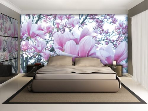 Magnólia poszter, fotótapéta, Vlies (104 x 70,5 cm)