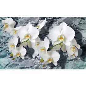 Orchidea poszter, fotótapéta, Vlies (104 x 70,5 cm)