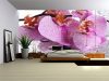 Orchidea poszter, fotótapéta Vlies (254 x 184 cm)