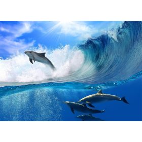 Delfinek  poszter, fotótapéta, Vlies (104 x 70,5 cm)