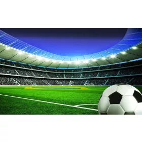 Stadion poszter, fotótapéta, Vlies (104 x 70,5 cm)
