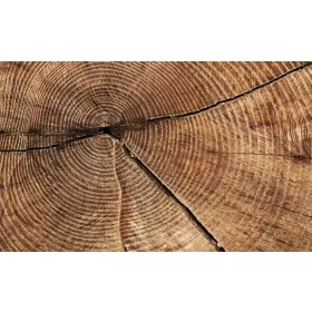 Farönk poszter, fotótapéta, Vlies (104 x 70,5 cm)