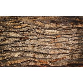 Farönk poszter, fotótapéta, Vlies (104 x 70,5 cm)