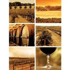 Borászat poszter, fotótapéta, Vlies  (184x254 cm, álló)