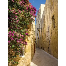 Utca poszter, fotótapéta, Vlies  (184x254 cm, álló)