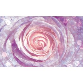 Rózsa poszter, fotótapéta, Vlies (104 x 70,5 cm)