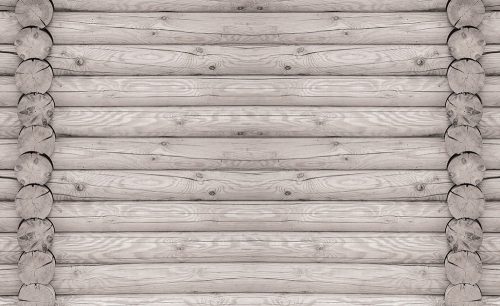 Fatörzsek poszter, fotótapéta Vlies (254 x 184 cm)
