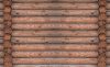 Fatörzsek poszter, fotótapéta Vlies (254 x 184 cm)