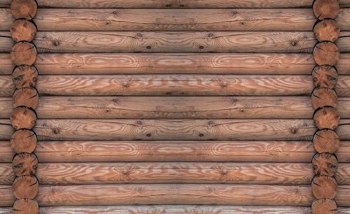 Fatörzsek poszter, fotótapéta Vlies (254 x 184 cm)