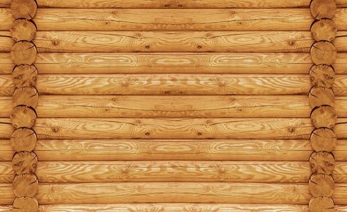 Fatörzsek poszter, fotótapéta Vlies (254 x 184 cm)