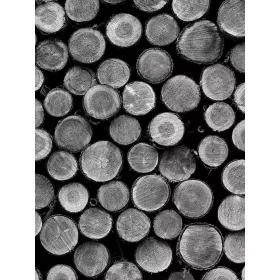   Farönkök poszter, fotótapéta, Vlies  (184x254 cm, álló)