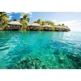 Hawaii poszter, fotótapéta, Vlies (104 x 70,5 cm)