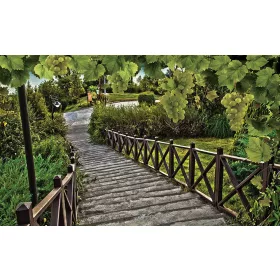 Lépcsők poszter, fotótapéta, Vlies (104 x 70,5 cm)