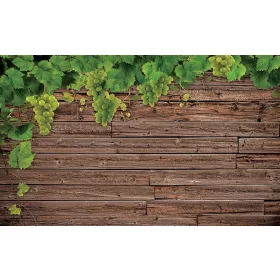 Deszkafal poszter, fotótapéta, Vlies (104 x 70,5 cm)