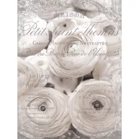 Rózsák poszter, fotótapéta, Vlies  (184x254 cm, álló)