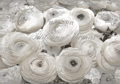 Rózsák poszter, fotótapéta Vlies (152,5 x 104 cm)