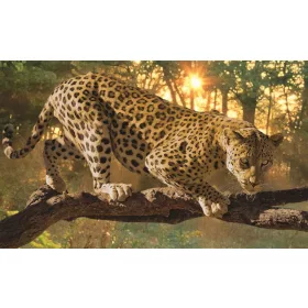 Jaguár poszter, fotótapéta, Vlies (104 x 70,5 cm)