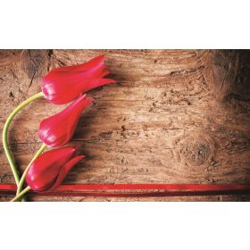 Tulipánok poszter, fotótapéta, Vlies (104 x 70,5 cm)