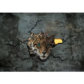 Jaguár poszter, fotótapéta, Vlies (104 x 70,5 cm)