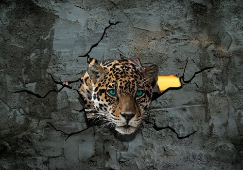 Jaguár poszter, fotótapéta Vlies (254 x 184 cm)