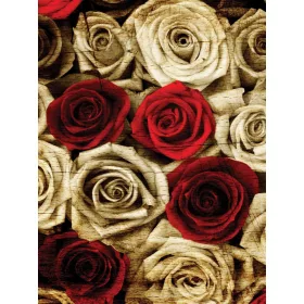 Rózsák poszter, fotótapéta, Vlies  (184x254 cm, álló)