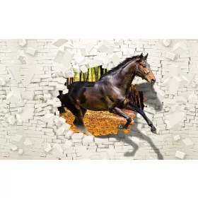 Ló  poszter, fotótapéta, Vlies (104 x 70,5 cm)