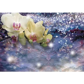 Virág design  poszter, fotótapéta, Vlies (104 x 70,5 cm)