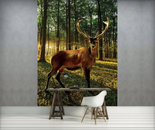 Szarvas poszter, fotótapéta, Vlies  (206x275 cm, álló)