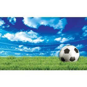 Focis  poszter, fotótapéta, Vlies (104 x 70,5 cm)