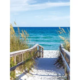   Út a tengerpartra poszter, fotótapéta, Vlies  (184x254 cm, álló)