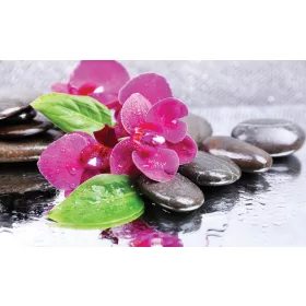 Orchidea poszter, fotótapéta, Vlies (104 x 70,5 cm)