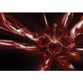   Absztrakt virág  poszter, fotótapéta, Vlies (104 x 70,5 cm)