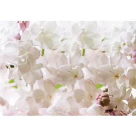 Virágok  poszter, fotótapéta, Vlies (104 x 70,5 cm)