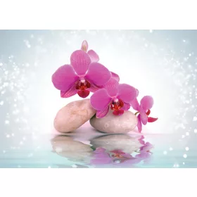 Virágok  poszter, fotótapéta, Vlies (104 x 70,5 cm)