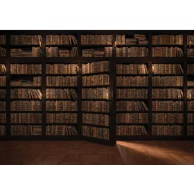 Könyvespolc  poszter, fotótapéta, Vlies (104 x 70,5 cm)