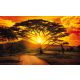 African Sunset  poszter, fotótapéta, Vlies (104 x 70,5 cm)