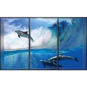Delfinek  poszter, fotótapéta, Vlies (104 x 70,5 cm)