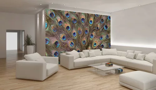 Páva tollak poszter, fotótapéta, Vlies (104 x 70,5 cm)