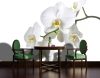 Orchidea poszter, fotótapéta Vlies (254 x 184 cm)