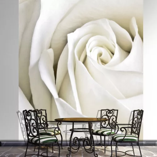 Rózsa poszter, fotótapéta, Vlies  (184x254 cm, álló)