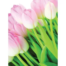   Tulipánok poszter, fotótapéta, Vlies  (184x254 cm, álló)