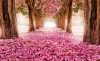 Pink alley poszter, fotótapéta Vlies (152,5 x 104 cm)