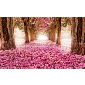 Pink alley poszter, fotótapéta, Vlies (104 x 70,5 cm)