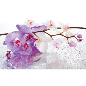 Orchidea poszter, fotótapéta, Vlies (104 x 70,5 cm)