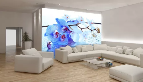Orchidea poszter, fotótapéta, Vlies (104 x 70,5 cm)