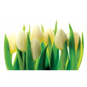 Tulipánok poszter, fotótapéta, Vlies (104 x 70,5 cm)