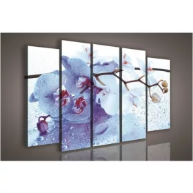 Vászonkép, 5 darabos Orchidea 150x100 cm méretben