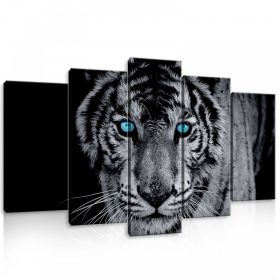  Vászonkép 5 darabos, Kék szemű nagymacska /Tigris/ 100x60 cm méretben