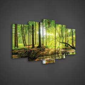   Vászonkép 5 darabos. Nyári erdő és a patak100x60 cm méretben