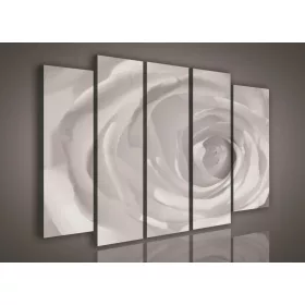   Vászonkép, 5 darabos Rózsa fekete-fehér 150x100 cm méretben